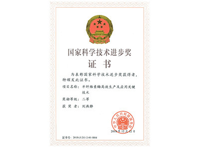 国家科技进步二等奖