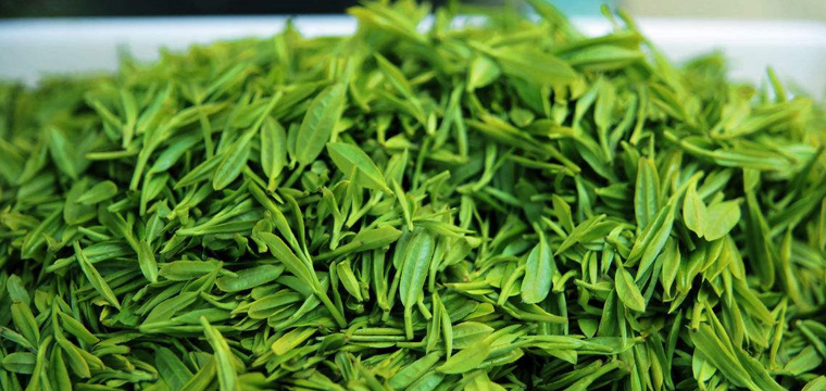 绿茶