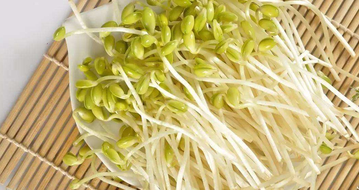 绿豆芽